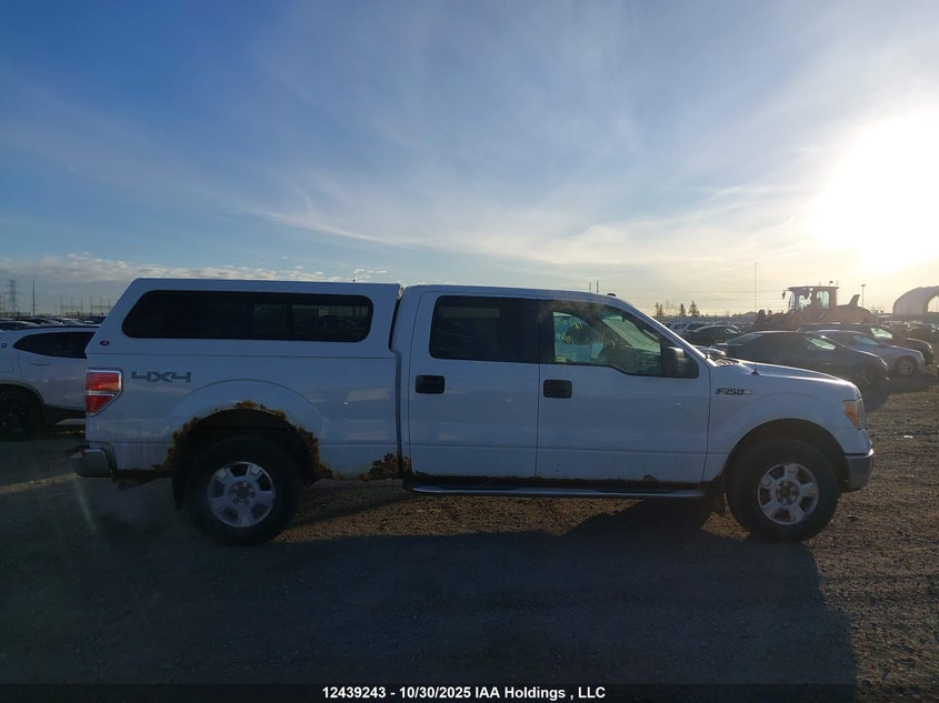 1FTFW1E81AFB31479 2010 FORD F-150 photo no. 14