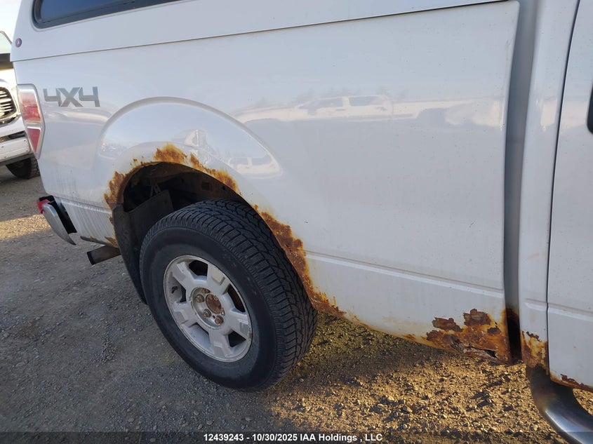 1FTFW1E81AFB31479 2010 FORD F-150 photo no. 21