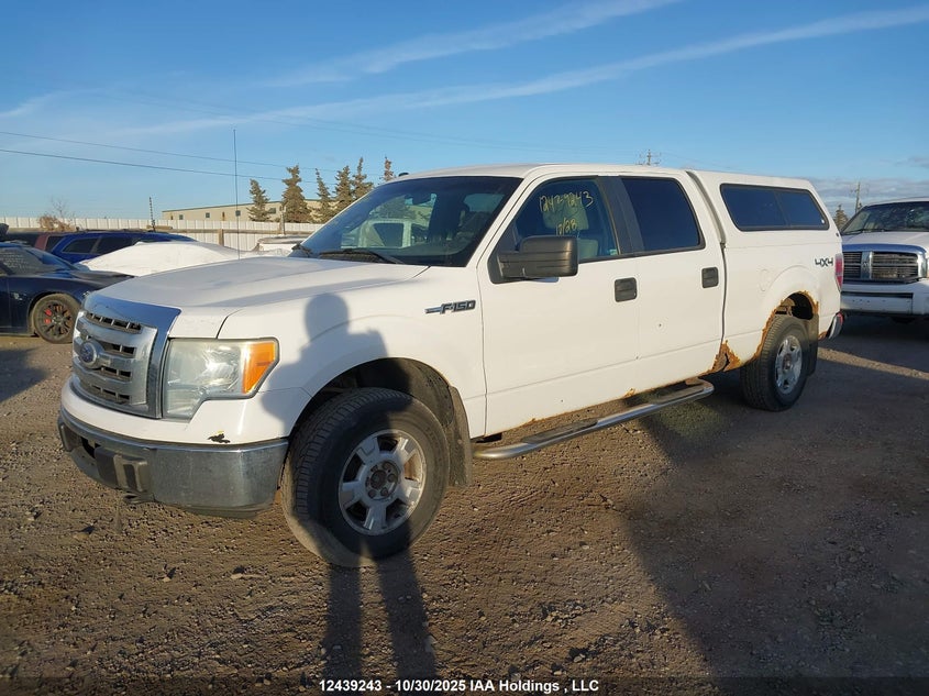 1FTFW1E81AFB31479 2010 FORD F-150 photo no. 2