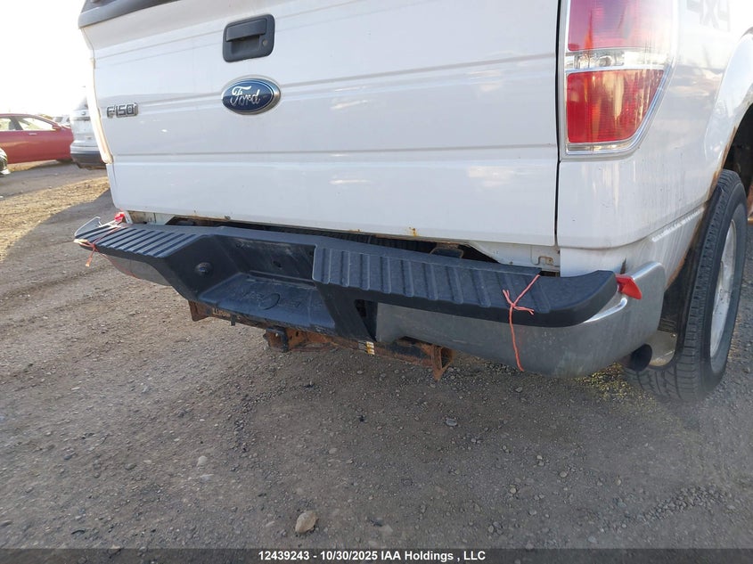 1FTFW1E81AFB31479 2010 FORD F-150 photo no. 6
