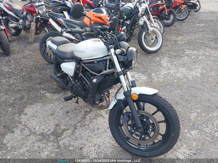 ML5ELFA17RDA08591 2024 Kawasaki El450 A auction photo 1