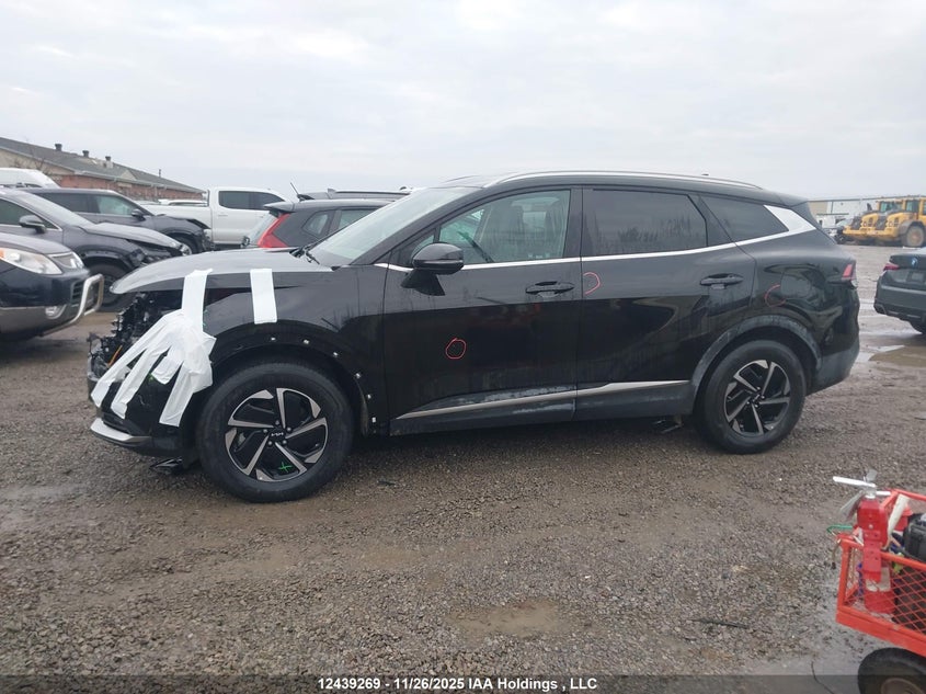2024 Kia Sportage Hybrid Ex VIN: KNDPVCDG7R7121525 Lot: 12439269