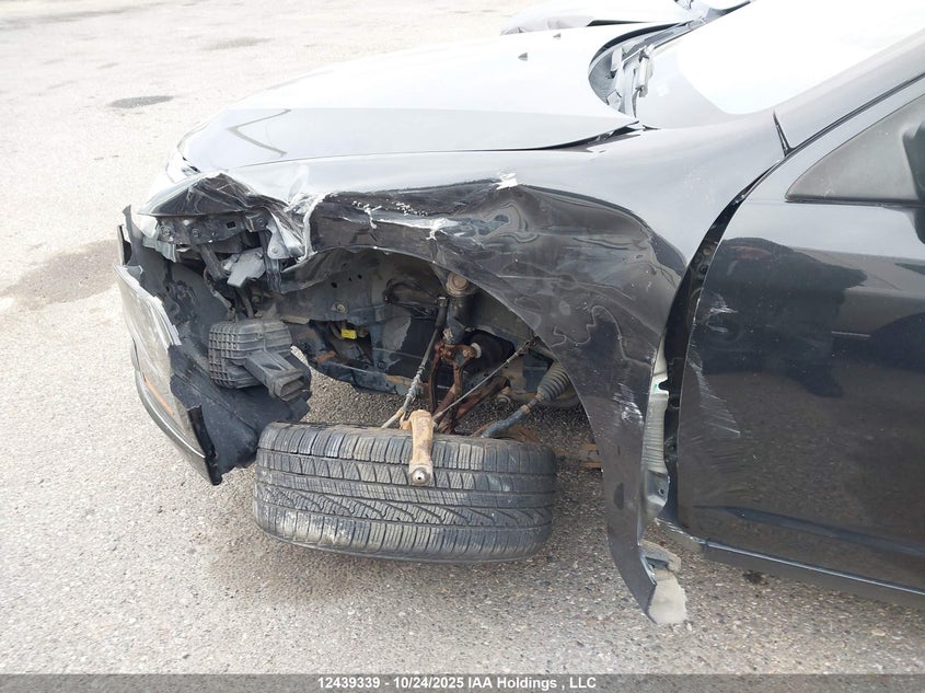 2010 Ford Fusion Sel VIN: 3FAHP0CG3AR250590 Lot: 12439339