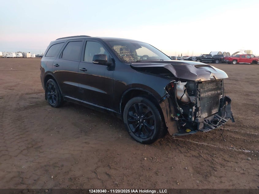 1C4SDJCT6LC187112 2020 DODGE DURANGO photo no. 14
