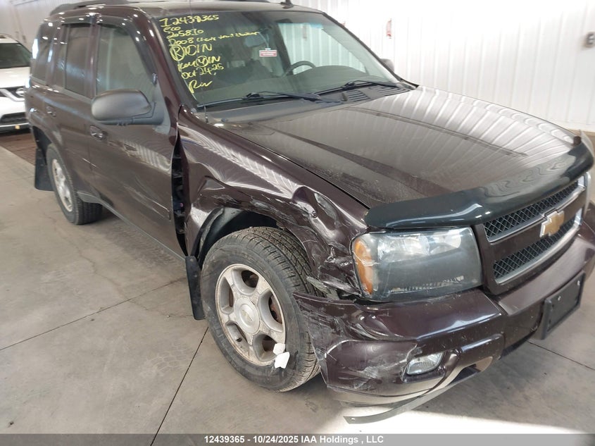 2008 Chevrolet Trailblazer Lt1/Lt3 VIN: 1GNDT13S282205810 Lot: 12439365