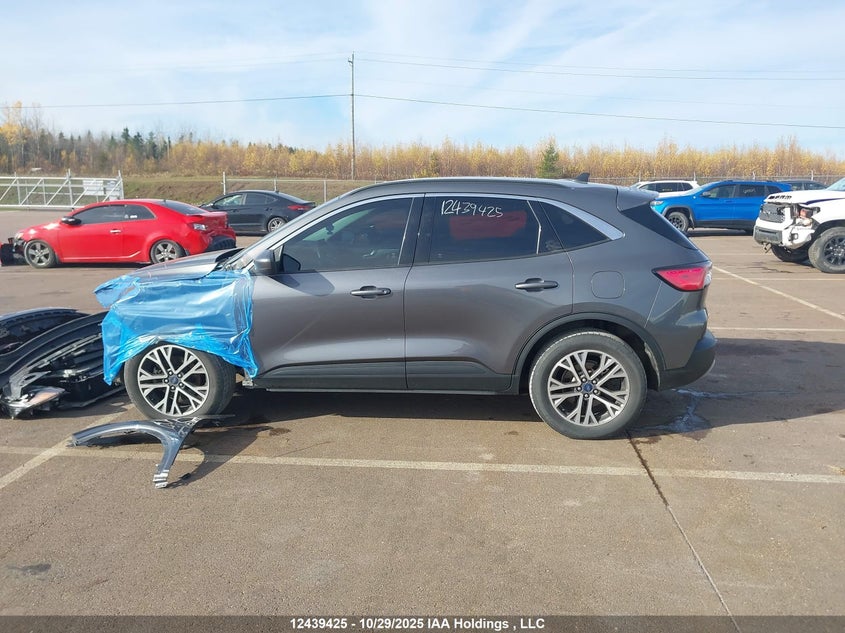 2021 Ford Escape Sel VIN: 1FMCU9H66MUA72989 Lot: 12439425