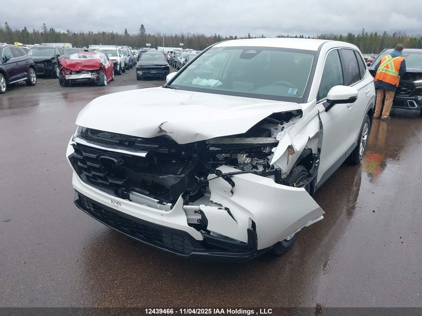 2025 Honda Cr-V Lx VIN: 2HKRS4H24SH121988 Lot: 12439466