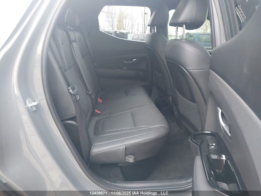 2022 Hyundai Santa Cruz Sel Premium VIN: 5NTJDDAF7NH035665 Lot: 12439571