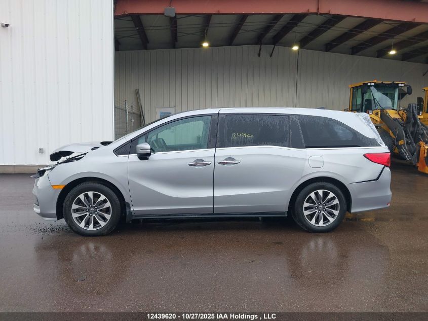 2022 Honda Odyssey Exl VIN: 5FNRL6H67NB500420 Lot: 12439620