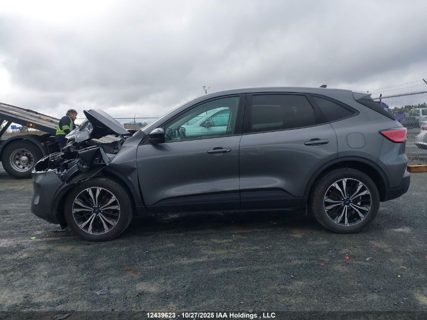 2021 Ford Escape Se VIN: 1FMCU9G60MUA23773 Lot: 12439623