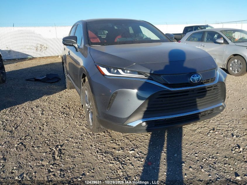 TOYOTA VENZA limited