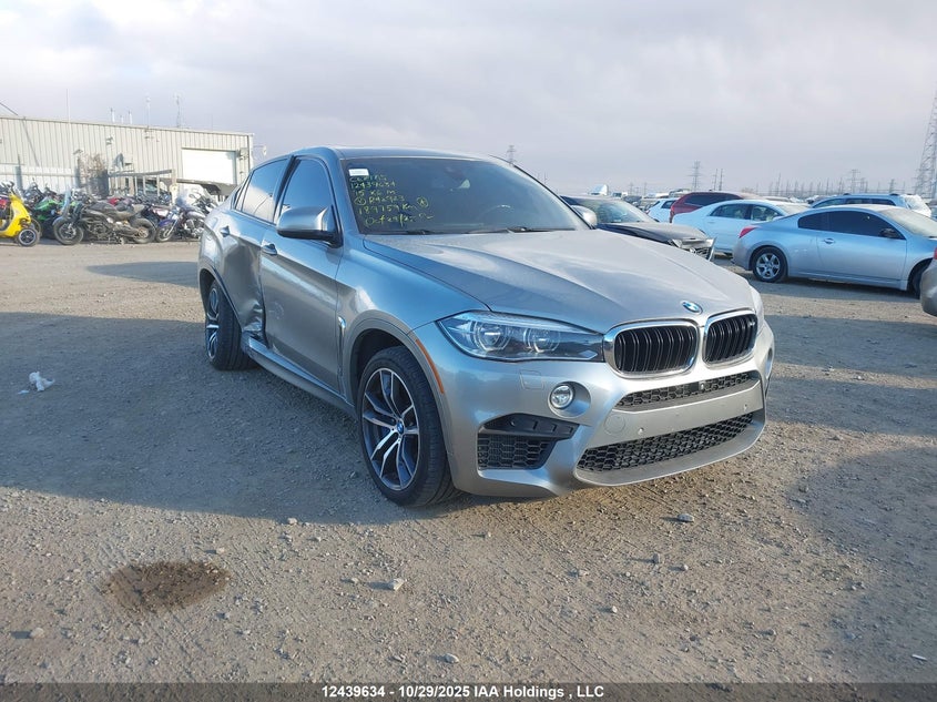 5YMKW8C54F0R42923 2015 BMW X6 M auction photo 1