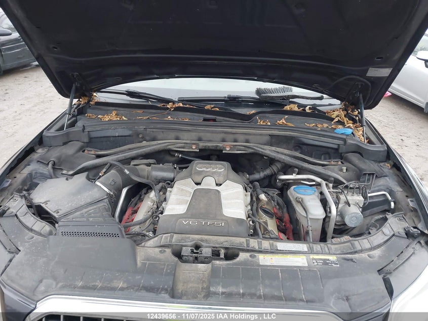 2013 Audi Q5 Premium Plus VIN: WA1LGDFP8DA039434 Lot: 12439656