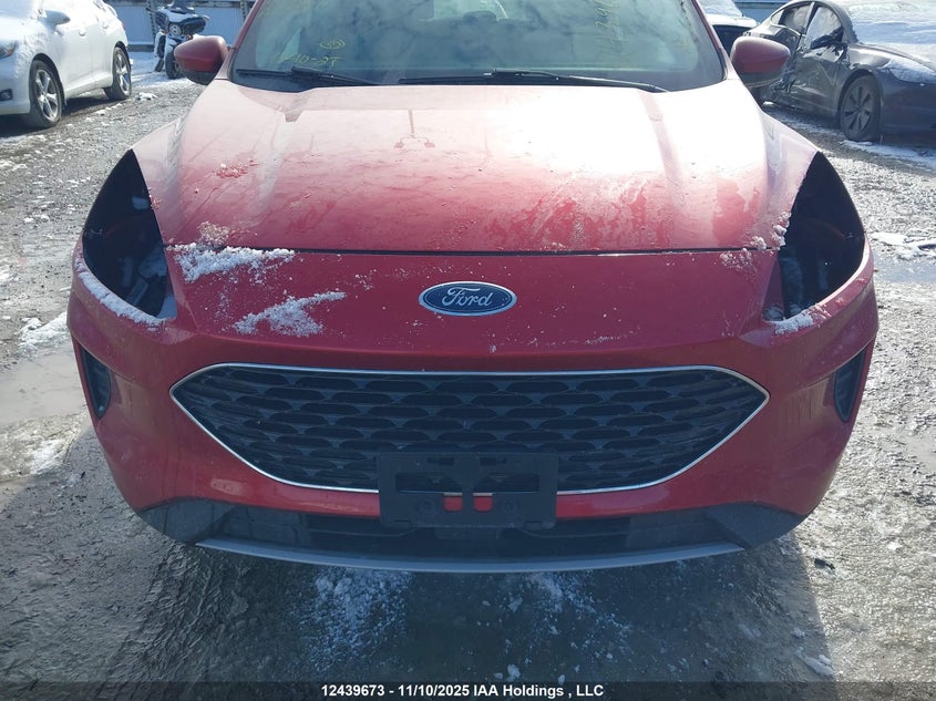 1FMCU0G66LUB51168 2020 FORD ESCAPE photo no. 6