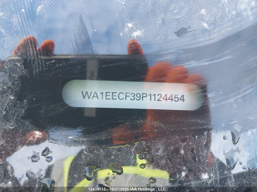 2023 Audi Q3 45 Progressiv VIN: WA1EECF39P1124454 Lot: 12439713