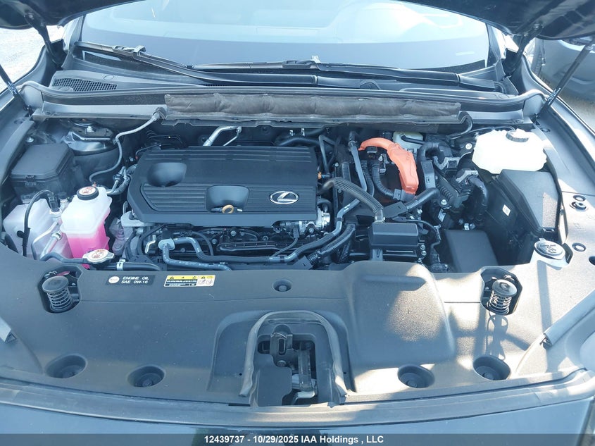 2T2BBMCA0SC065255 2025 LEXUS RX photo no. 10