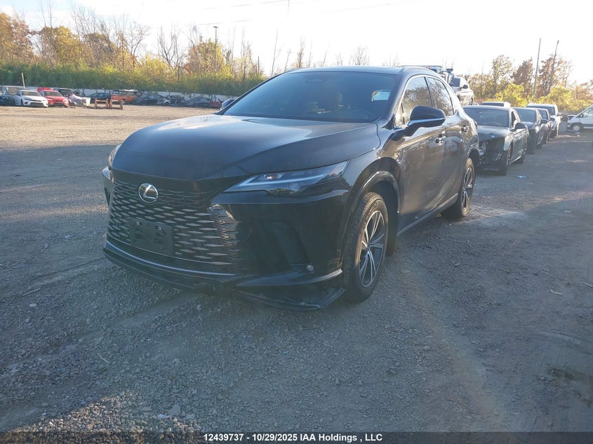 2T2BBMCA0SC065255 2025 LEXUS RX photo no. 2