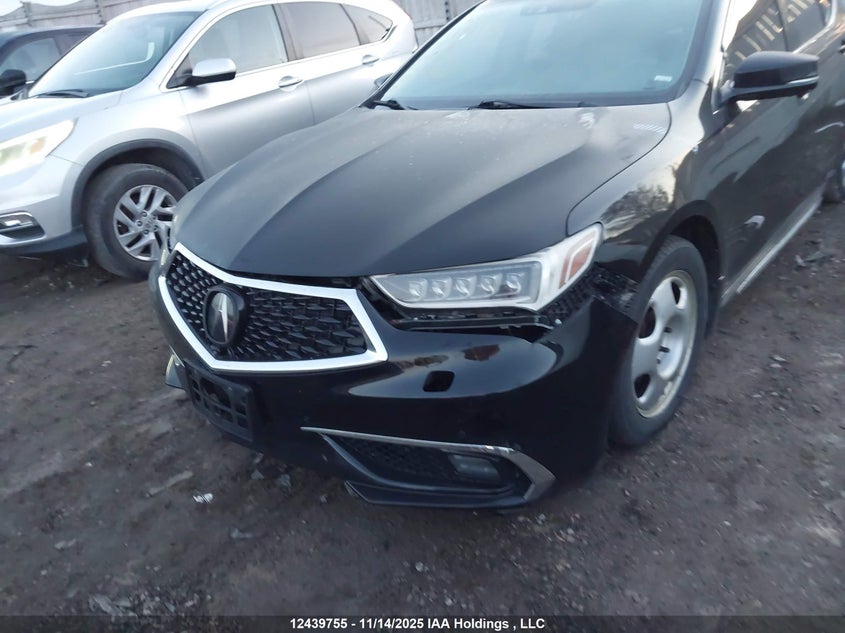 2018 Acura Tlx VIN: 19UUB3F75JA801585 Lot: 12439755