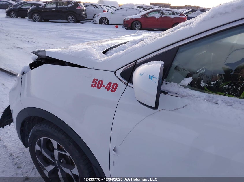 KNDPM3AC3N7972347 2022 KIA SPORTAGE photo no. 12