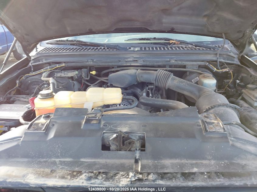 2003 Ford F250 Super Duty VIN: 1FTNX21L33EB67062 Lot: 12439800