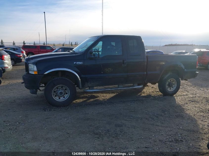 2003 Ford F250 Super Duty VIN: 1FTNX21L33EB67062 Lot: 12439800