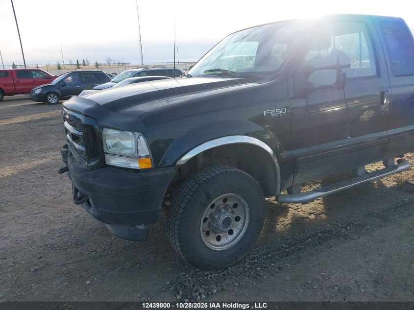 2003 Ford F250 Super Duty VIN: 1FTNX21L33EB67062 Lot: 12439800
