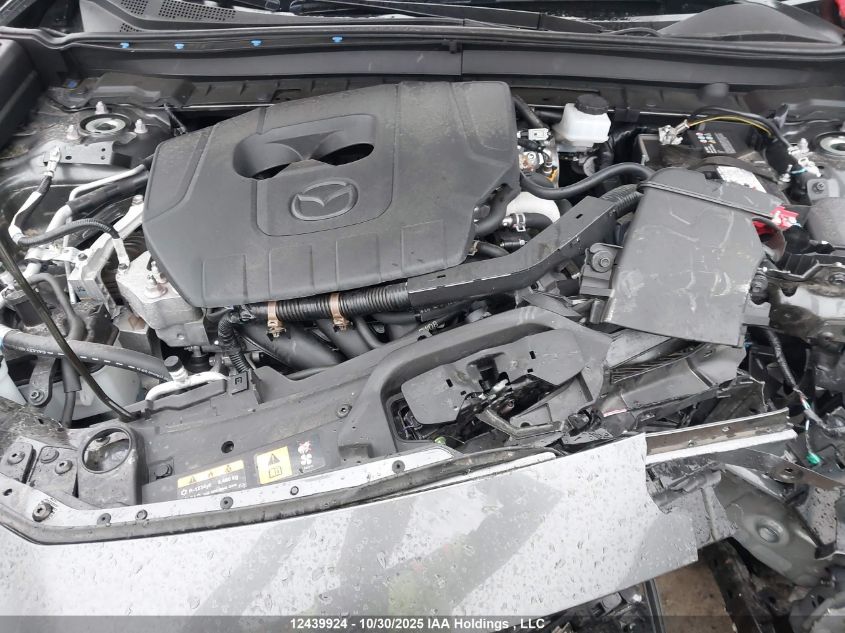 2025 Mazda Cx-30 Preferred VIN: 3MVDMBCM5SM750864 Lot: 12439924