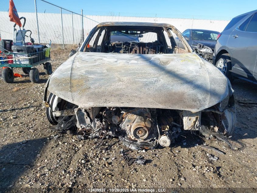 2010 Audi A4 2.0T Premium VIN: WAUFFCFL8AN007582 Lot: 12439927