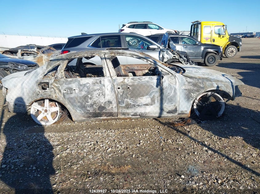 2010 Audi A4 2.0T Premium VIN: WAUFFCFL8AN007582 Lot: 12439927