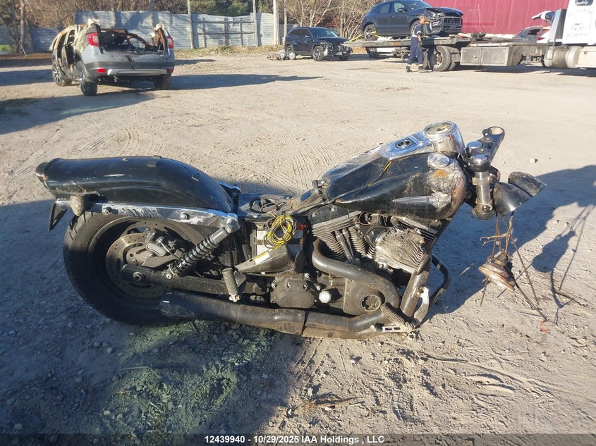 2009 Harley-Davidson Fxdf VIN: 1HD1GY4119K316668 Lot: 12439940