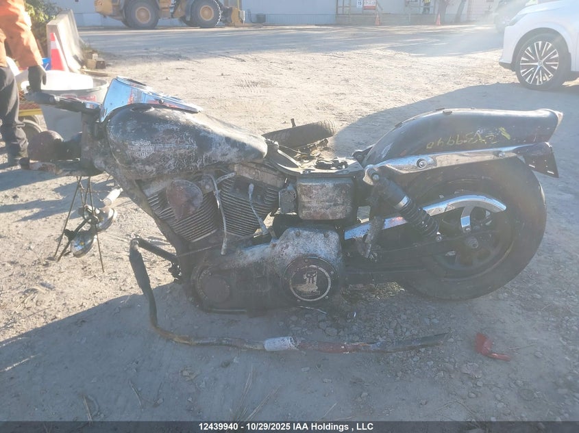 2009 Harley-Davidson Fxdf VIN: 1HD1GY4119K316668 Lot: 12439940