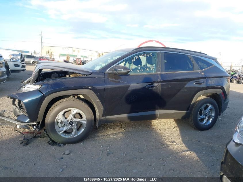 2024 Hyundai Tucson Sel VIN: KM8JBCDE1RU350728 Lot: 12439945