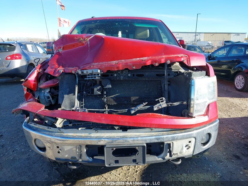 1FTFW1EV4AFA88780 2010 FORD F-150 photo no. 11