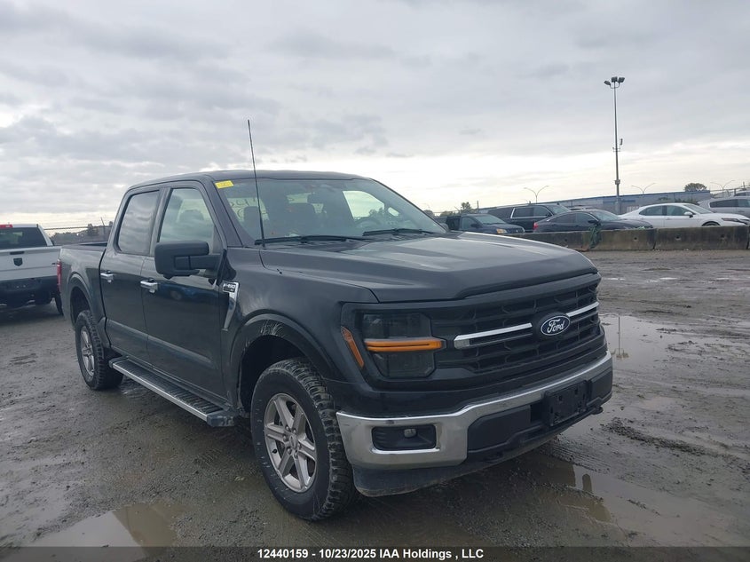 1FTFW3L80RKE02310 2024 Ford F150 Xlt auction photo 1