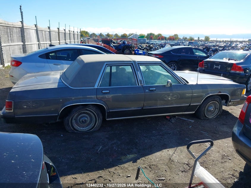 1991 Mercury Grand Marquis Ls VIN: 2MECM75F1MX659993 Lot: 12440232