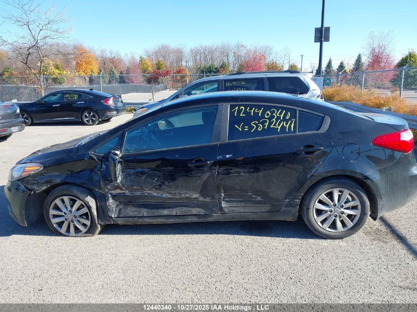 2014 Kia Forte VIN: KNAFX4A65E5072447 Lot: 12440340