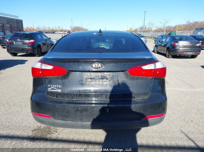 2014 Kia Forte VIN: KNAFX4A65E5072447 Lot: 12440340