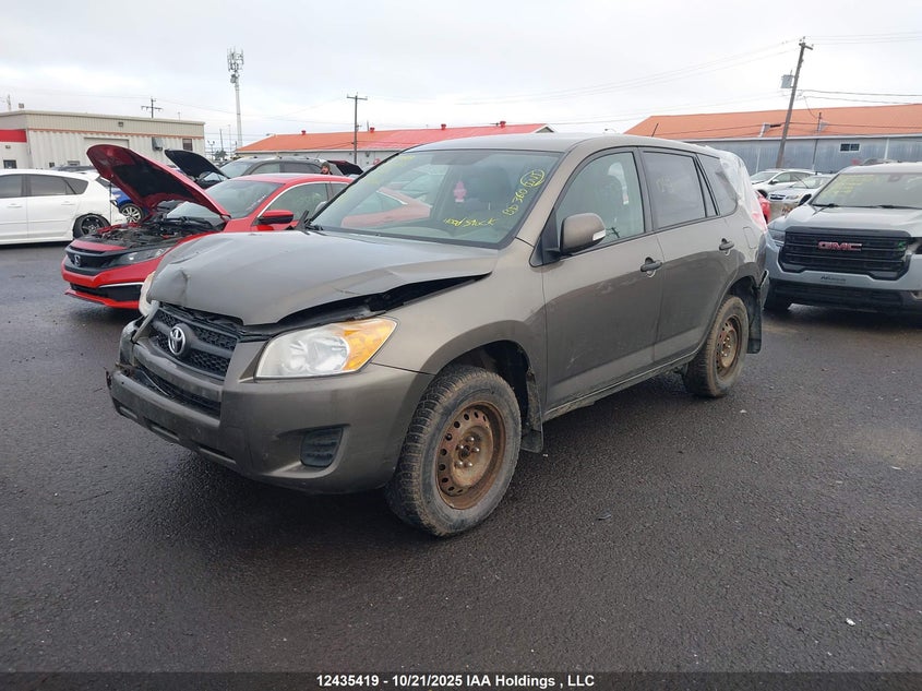 2011 Toyota Rav4 VIN: 2T3ZF4DV3BW094053 Lot: 12435419X