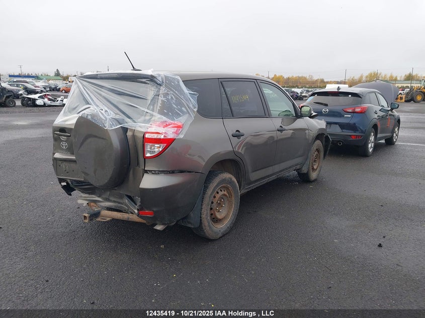 2011 Toyota Rav4 VIN: 2T3ZF4DV3BW094053 Lot: 12435419X