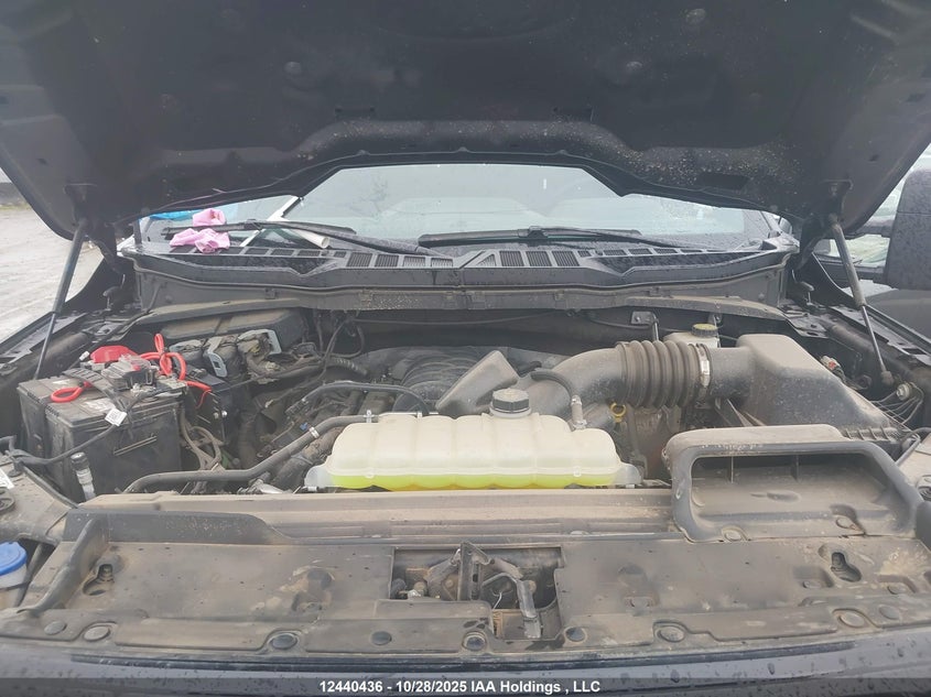 1FTFW3L51RFB20563 2024 FORD F-150 photo no. 10