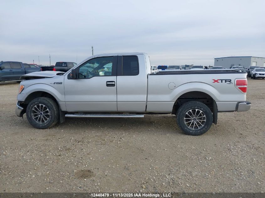 2013 Ford F150 Super Cab VIN: 1FTFX1EF3DFC74479 Lot: 12440479