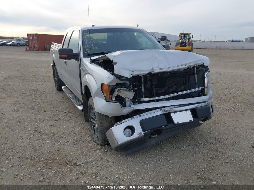 2013 Ford F150 Super Cab VIN: 1FTFX1EF3DFC74479 Lot: 12440479