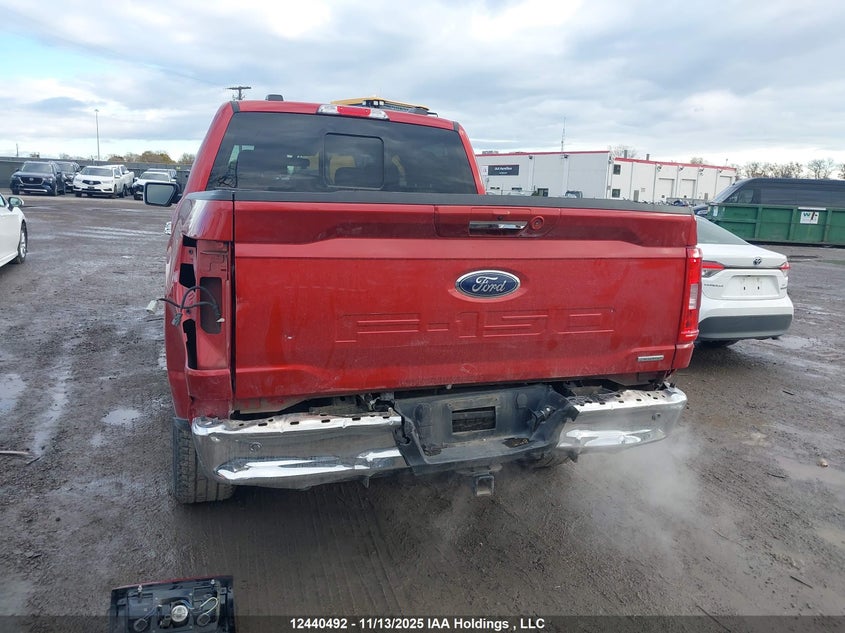 1FTEW1EP5PKD45796 2023 FORD F-150 photo no. 6