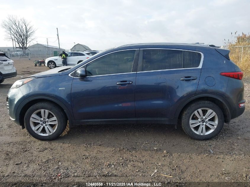 2017 Kia Sportage Lx VIN: KNDPMCAC8H7273316 Lot: 12440558