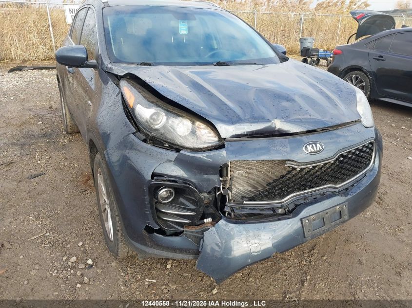 2017 Kia Sportage Lx VIN: KNDPMCAC8H7273316 Lot: 12440558