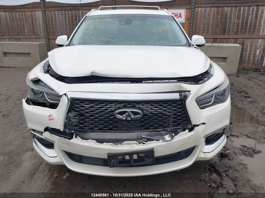 5N1DL0MM7KC534793 2019 INFINITI QX60 photo no. 12