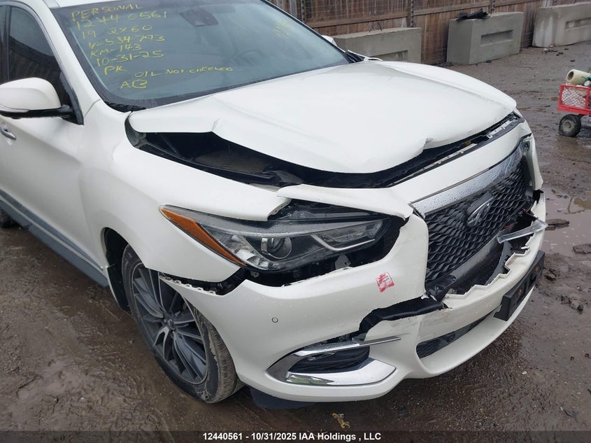 5N1DL0MM7KC534793 2019 INFINITI QX60 photo no. 6