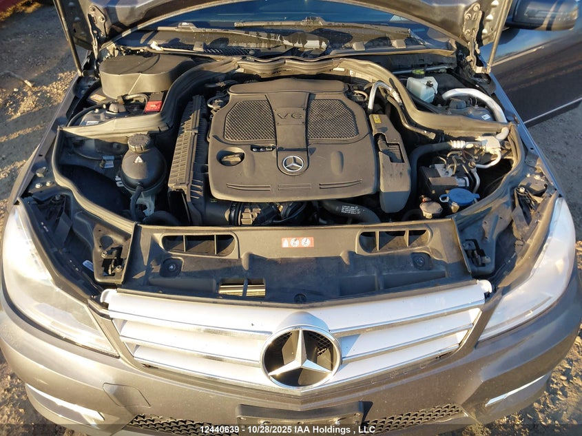 WDDGF8AB0EG162758 2014 MERCEDES-BENZ C-KLASSE photo no. 10
