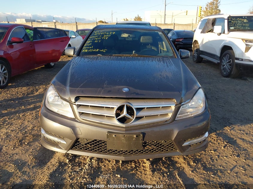 WDDGF8AB0EG162758 2014 MERCEDES-BENZ C-KLASSE photo no. 13