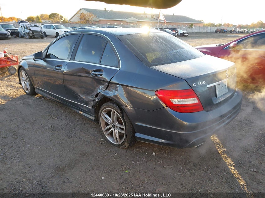 WDDGF8AB0EG162758 2014 MERCEDES-BENZ C-KLASSE photo no. 3